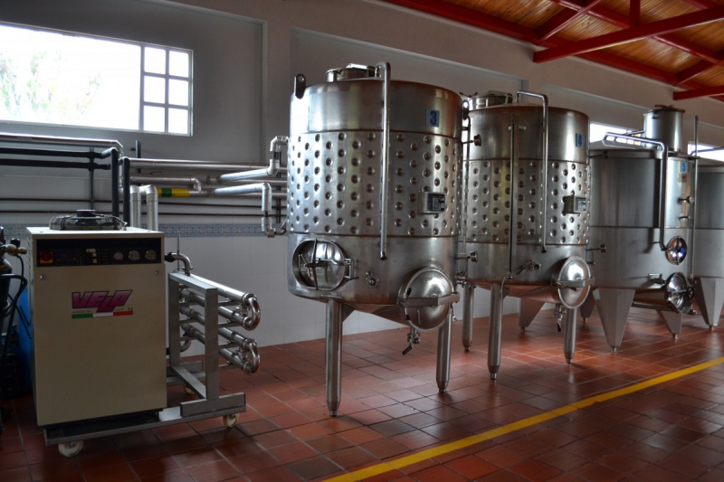 cave-ST MARTIN DE PALLIERES-min_wine_production_cantine_winery_drink_alcohol_vine_beverage-902036